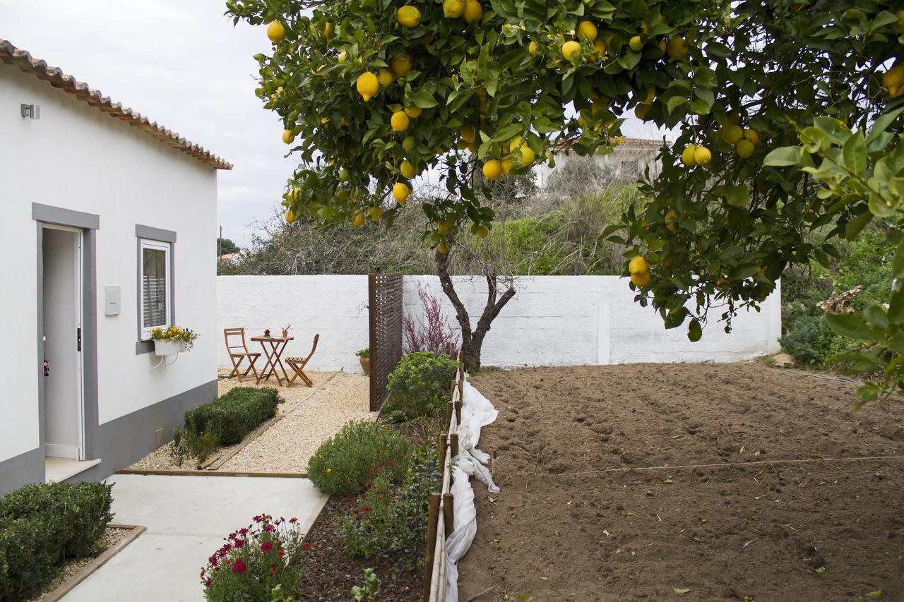 Casa Do Avo Serra Leiria Exterior foto