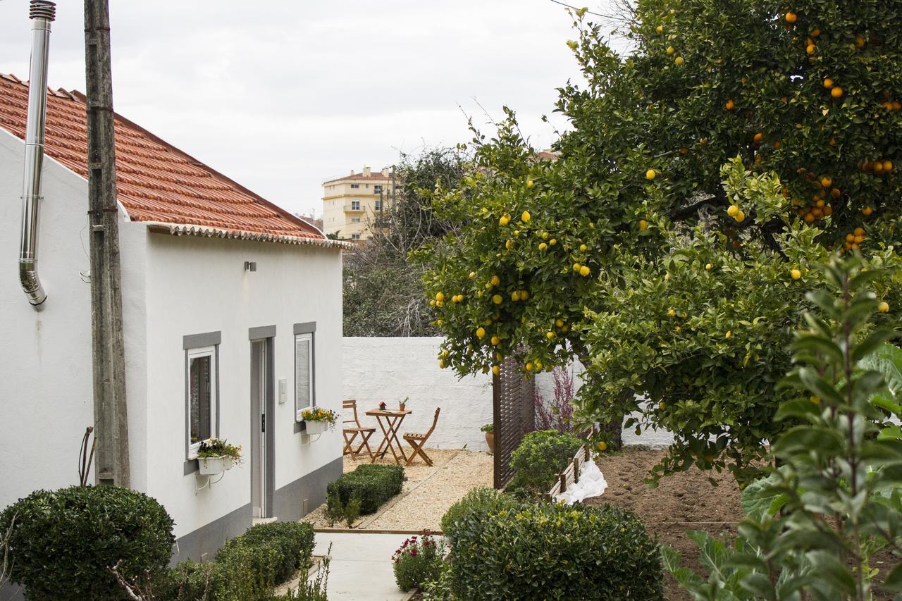 Casa Do Avo Serra Leiria Exterior foto